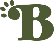 Bimordiscos